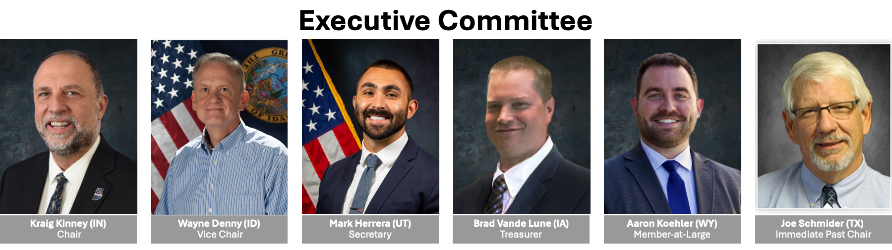 US EMS Compact Announces Executive Committee Elections 